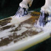 ** Ivory, Bone and Horn **